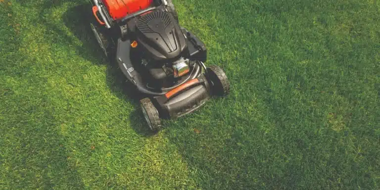 Sharpened lawn and garden pruning tools